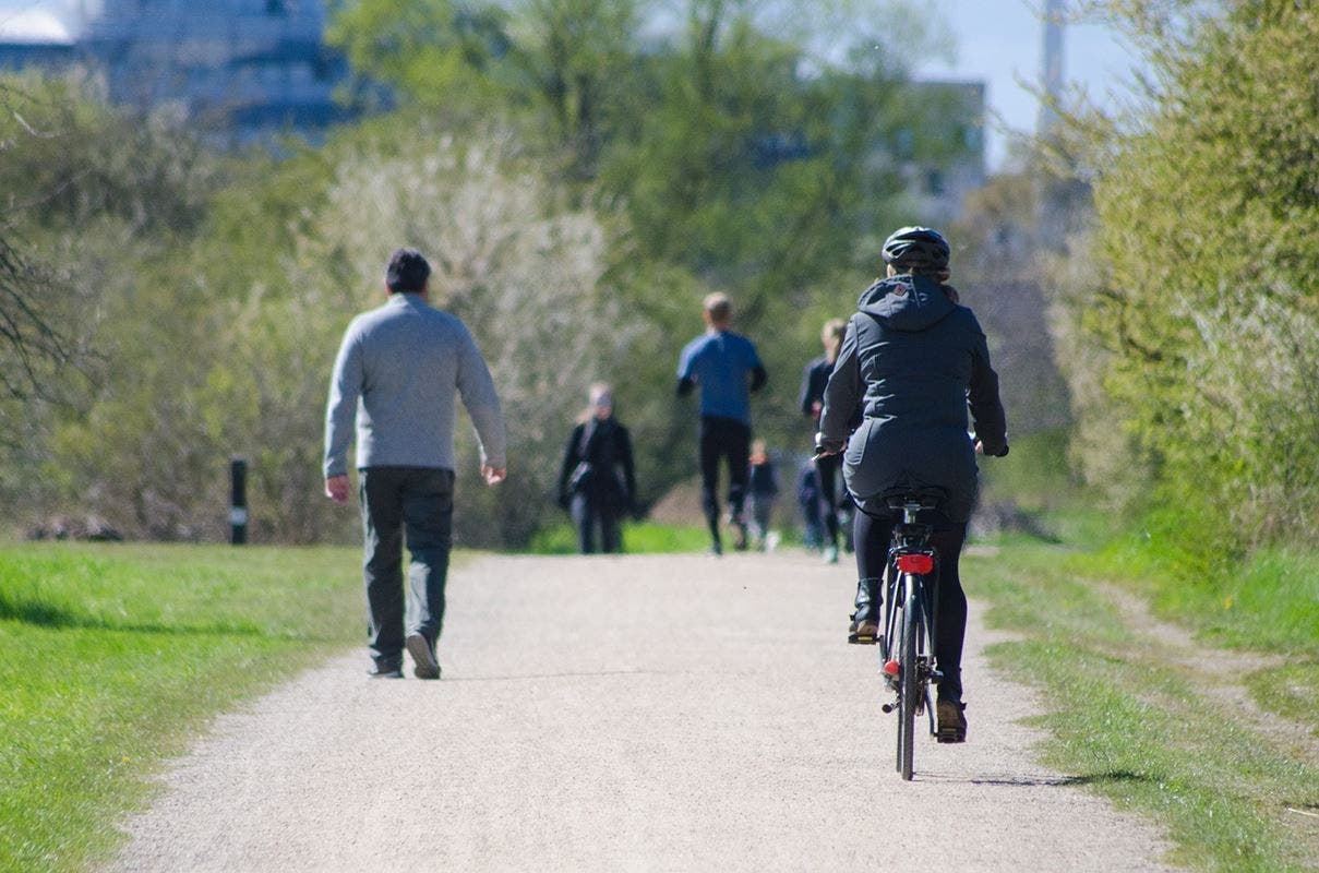 Los 10 Principales Beneficios De Las Caminatas Matutinas 3900